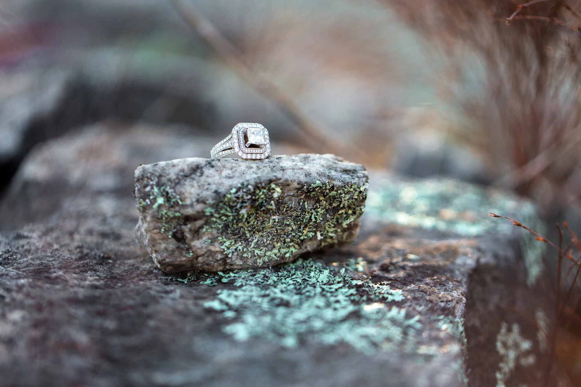 Close-up of a diamond ring resting on a lichen-covered rock outdoors, muted green and gray tones.