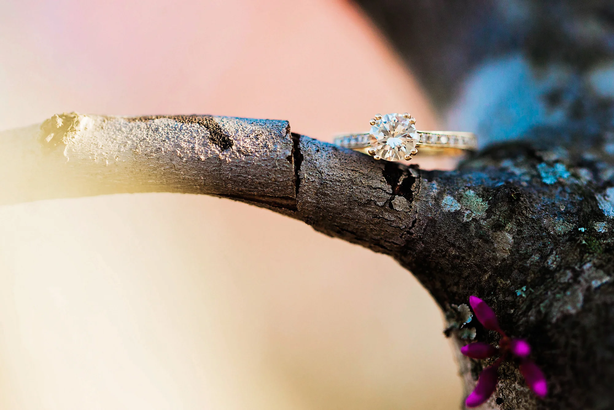 Close-up of a diamond engagement ring resting on a tree branch with soft pink and purple light.